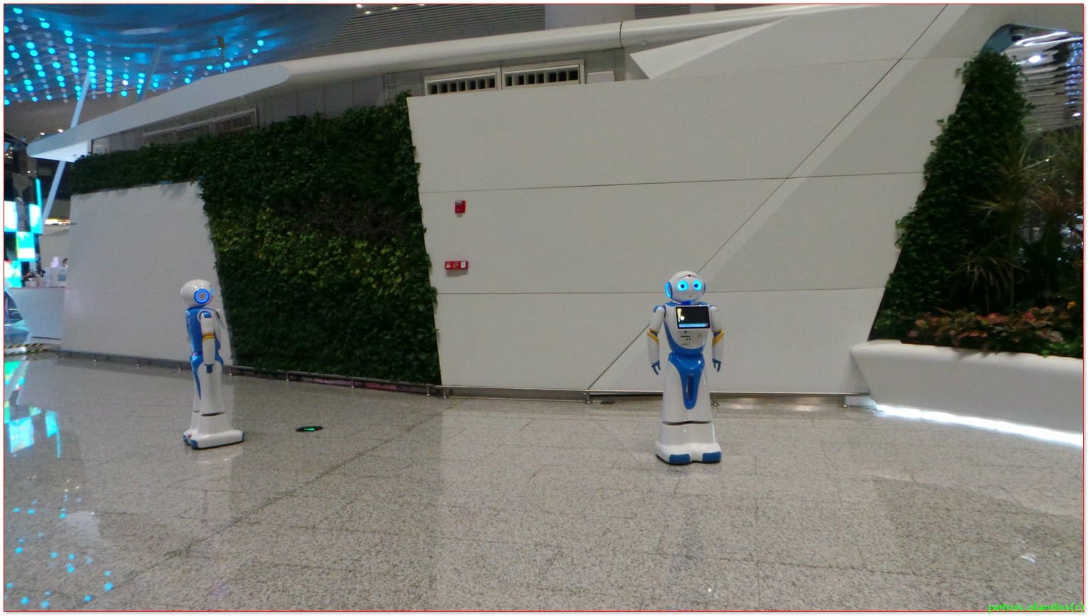 robots on guang zhou airport 2019